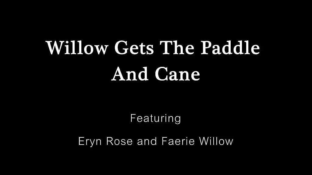 willow get the paddle and cane - with subtitles