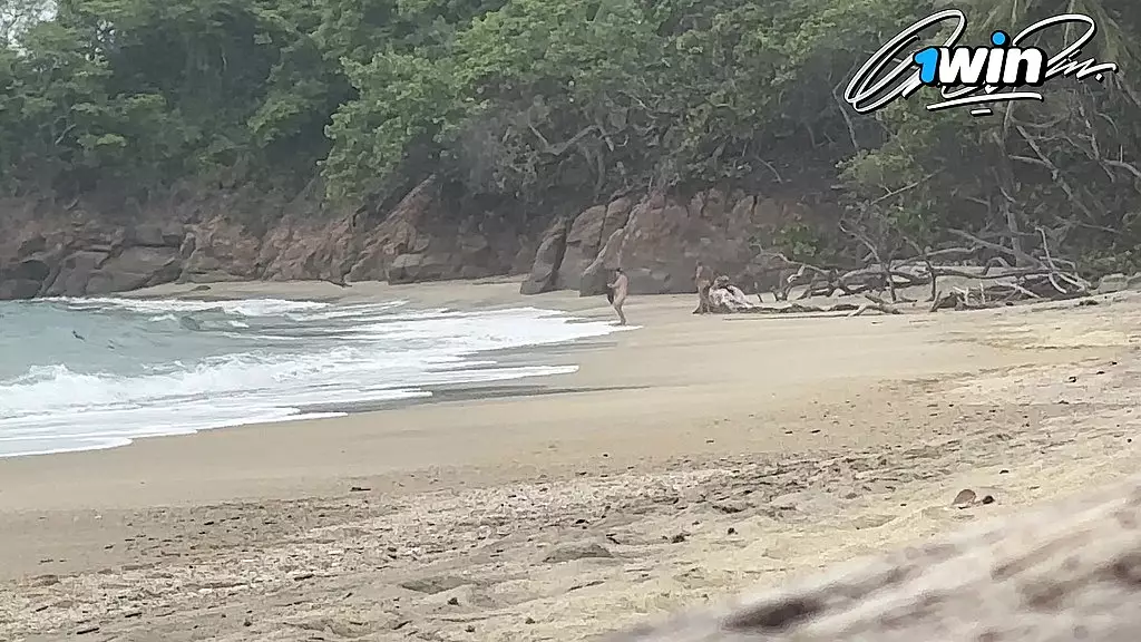 hot couple having sex on public beach nudist - cxlila