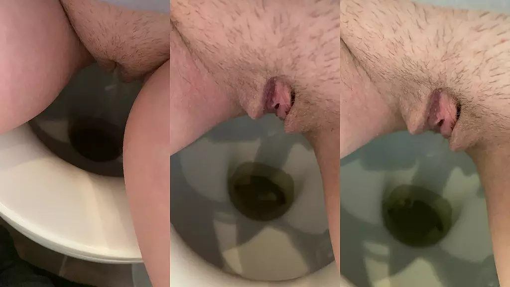 piss in toilet