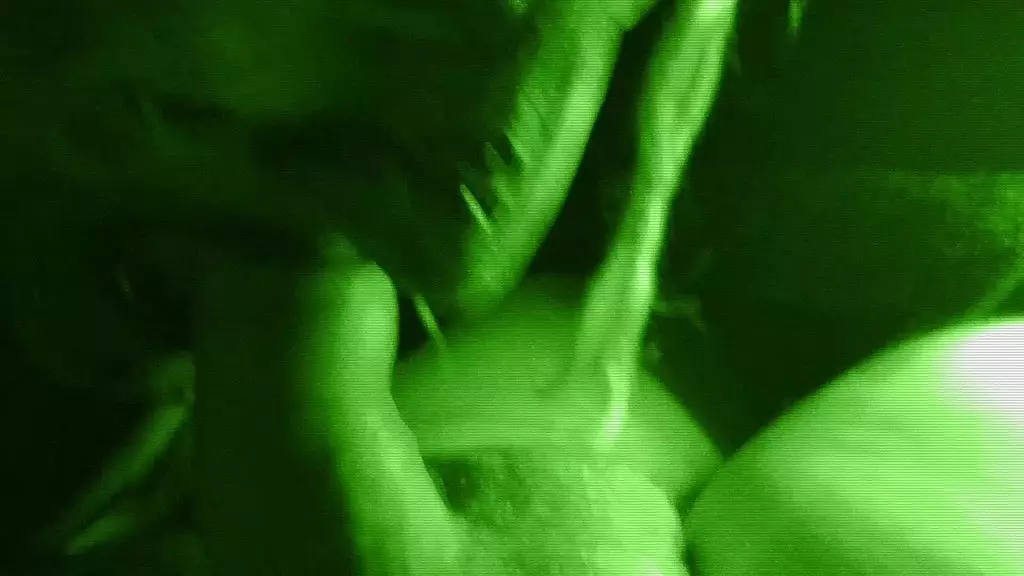demon bj caught on nightcam needs cum to turn back into goddess lana
