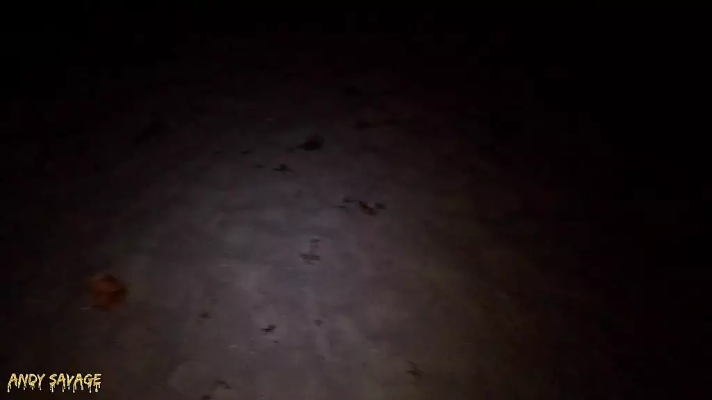 public pussy eating & blowjob on the beach at night time