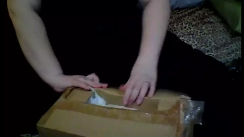 unboxing sex machine with brittanica