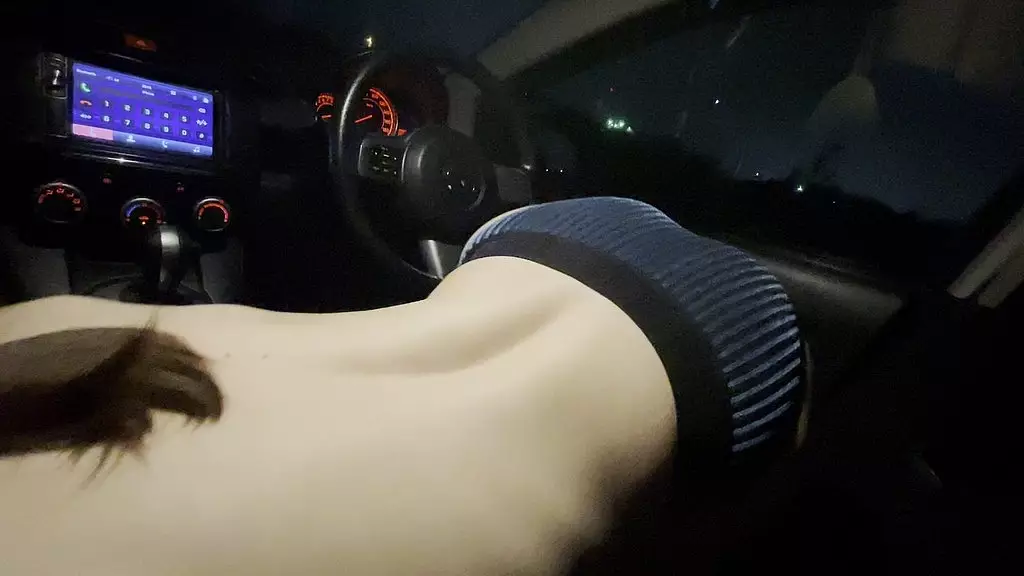 i give a blowjob to my boyfriend in the car near the house) face