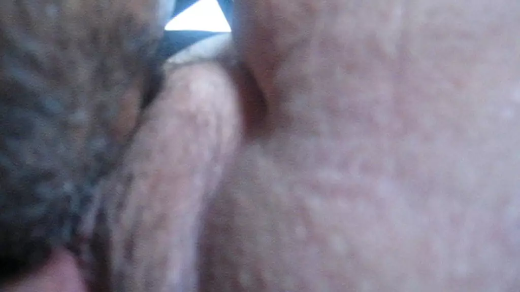 making cissy cum while my swirling tongue slides and probes over her clit